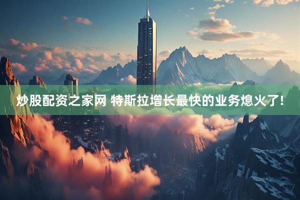 炒股配资之家网 特斯拉增长最快的业务熄火了!